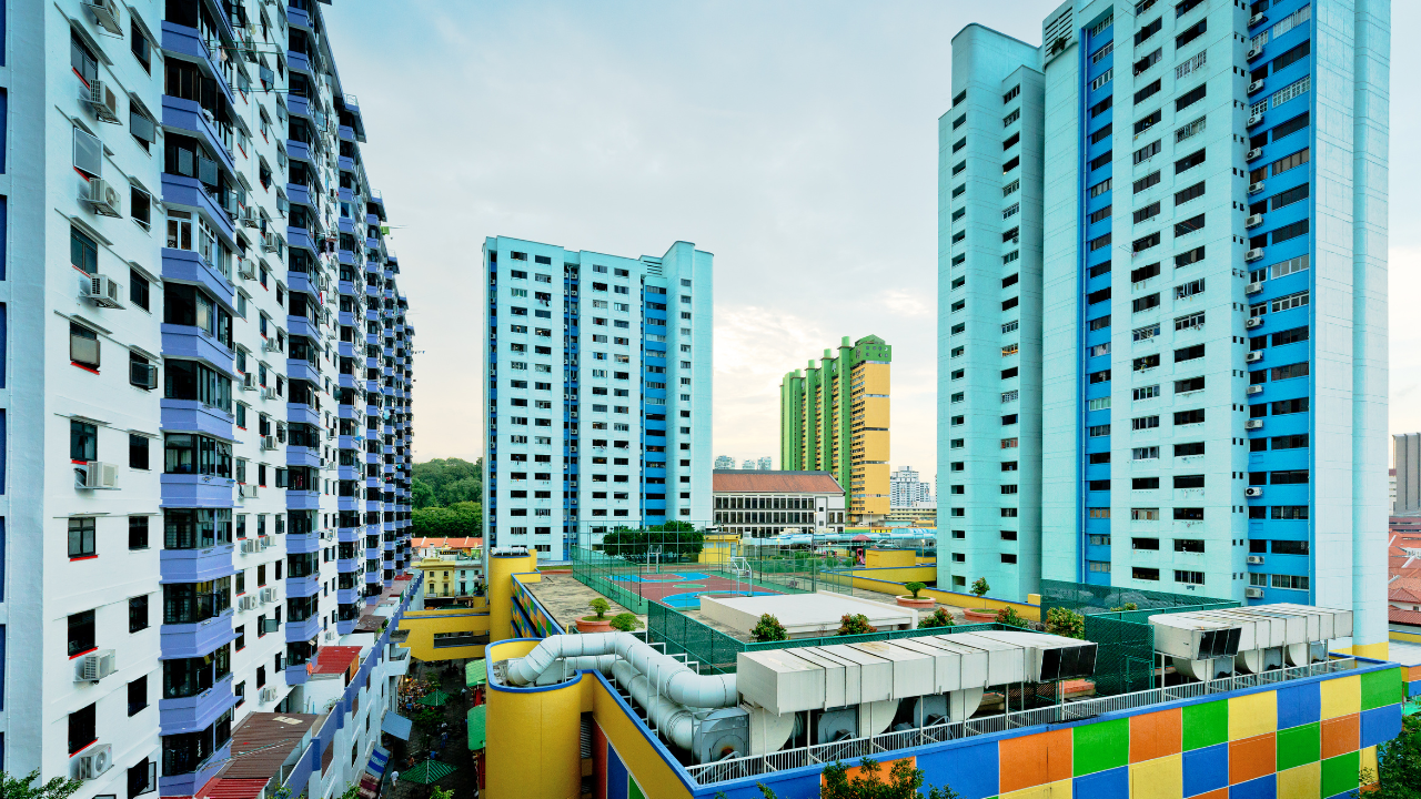 Untitled design (12)